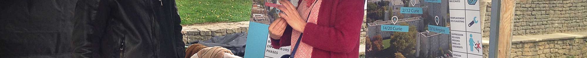 ACL les Marronniers ACL les Marronniers